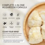 HiPlus® Organic Lion’s Mane Mushroom Supplement Powder - Image 5