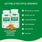 HiPlus® Glucosamine Chondroitin MSM and Turmeric Supplement - Image 2
