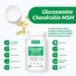 HiPlus® Glucosamine Chondroitin MSM and Turmeric Supplement - Image 3